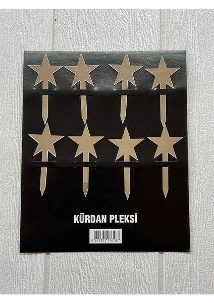 - 8 Adet Yıldız Pleksi Kürdan Gümüş Ynsmr