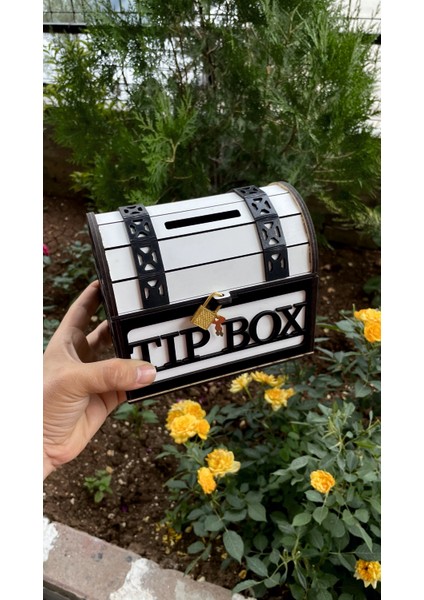 Mezotoys Tip Box Bahşiş Kutusu ve Kumbara Sandık Tipi Tipbox