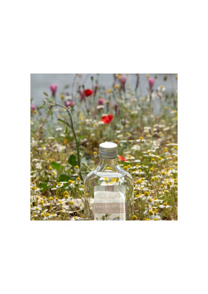 Powder Dream Parfüm Kolonya 500 ml