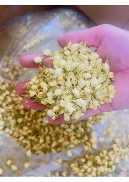 Doğal Yasemin Çayı Jasmin Tea 30GR fiyatları