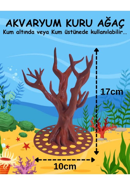 Akvaryum Kuru Ağaç ,akvaryum Ağaç ,botanik Kuru Ağaç