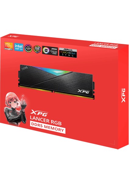 Lancer 48GB (2X24) 6800MHZ Ddr5 CL34 Udımm Ram AX5U6800C3424G-DCLARBK