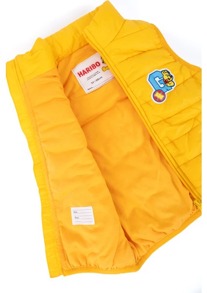 Erkek Çocuk Sarı Yelek modelleri