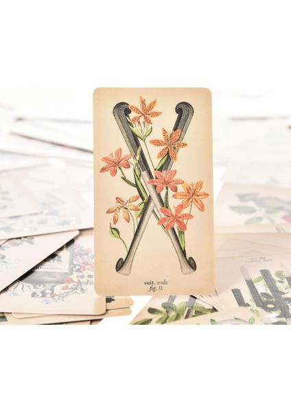 No.87 Stili Antik Anatomi Tarot Kartları Klasik Tarot Kart Destesi Oracle Fal Tahtası Oyun Kartları Pdf - (Yurt Dışından) indirimleri