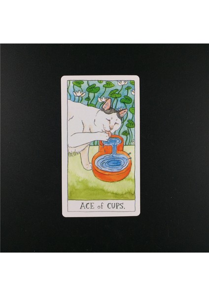 44 Adet TS08 Stili Tam Ingilizce Fate Board Game Kedi Tarot Kartları Büyülü Tarot Kartları Tarot Destesi Oyun Ailesi Oynarken Kart Hediye (Yurt Dışından) fırsatları