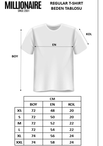 Erkek Kahverengi Regular Asit Yıkamalı Eskitme Efektli Boyalı T-Shirt