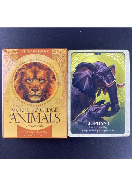48 Adet TS15 Stili Hayvanların Gizli Dili Oracle Kartları Tarot Oyun Kartları Ingilizce Rehber Kitap Kader Falı Kehanet Kader Masaları - E-Ticaret Başlığı (Yurt Dışından)
