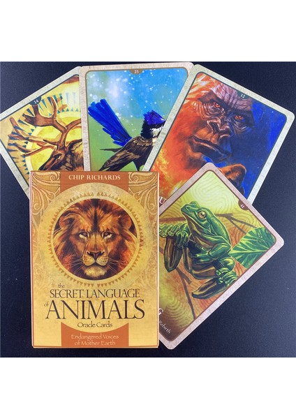 48 Adet TS15 Stili Hayvanların Gizli Dili Oracle Kartları Tarot Oyun Kartları Ingilizce Rehber Kitap Kader Falı Kehanet Kader Masaları - E-Ticaret Başlığı (Yurt Dışından)