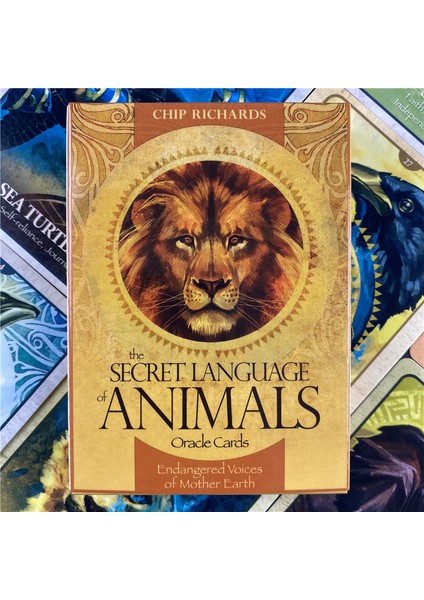 48 Adet TS15 Stili Hayvanların Gizli Dili Oracle Kartları Tarot Oyun Kartları Ingilizce Rehber Kitap Kader Falı Kehanet Kader Masaları - E-Ticaret Başlığı (Yurt Dışından)