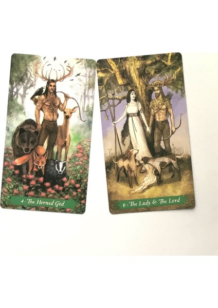 Stili Temizle 78 Kart Yeşil Cadı Tarot Oracle Kartları Kader Falı Hazine Avcısı Tarot ve Çeşitli Tarot Seçenekleri Için Pdf Rehberi (Yurt Dışından)