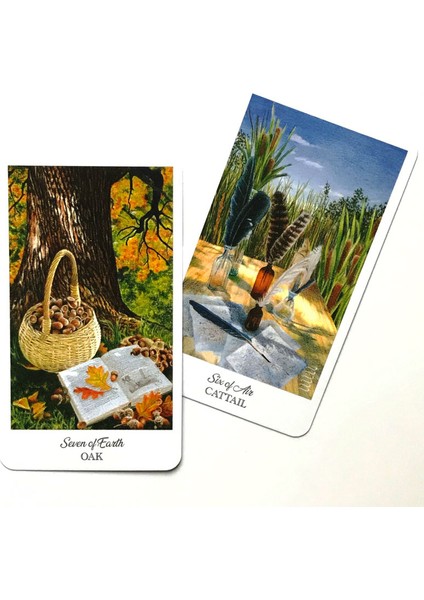 Çikolata Tarzı Bitkibilimciler Tarot Destesi Çiçek Dili Renk Yüzyıl Kartları Oyunu - Amaca Uygun (Yurt Dışından) modelleri