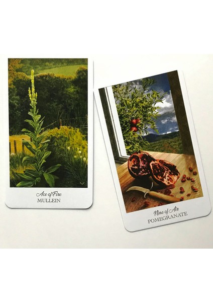 Çikolata Tarzı Bitkibilimciler Tarot Destesi Çiçek Dili Renk Yüzyıl Kartları Oyunu - Amaca Uygun (Yurt Dışından) fırsatları