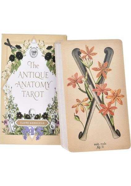 NO.108 Stili Antik Anatomi Tarot Kartları Klasik Tarot Kart Destesi Oracle Fal Tahtası Oyun Kartları Pdf - (Yurt Dışından) modelleri