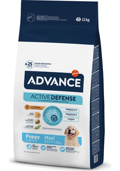 Dog Puppy Protect Maxı 12 kg Ynsmr