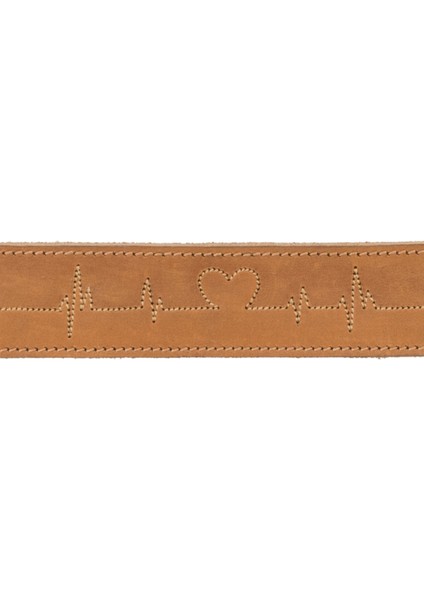 Köpek Boyun Tasması Kalın Deri 38-47CM 40MM M Kahverengi Ynsmr