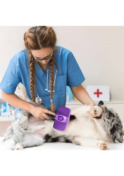 Otomatik Temizlenebilen Tuşlu Pratik Kedi Köpek Tüy Toplama Fırçası ( Lisinya )
