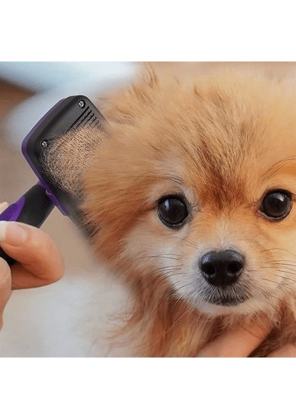 Otomatik Temizlenebilen Tuşlu Pratik Kedi Köpek Tüy Toplama Fırçası ( Lisinya )