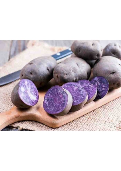 Mor Tatlı Patates
