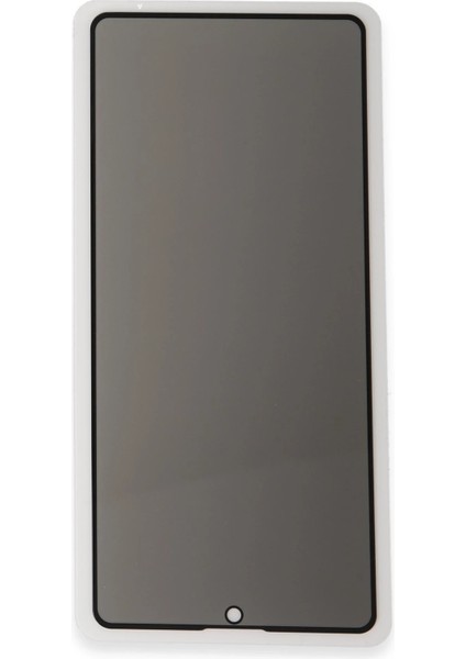Samsung Galaxy S23 3D Statik Hayalet Cam Ekran Koruyucu Yktsn
