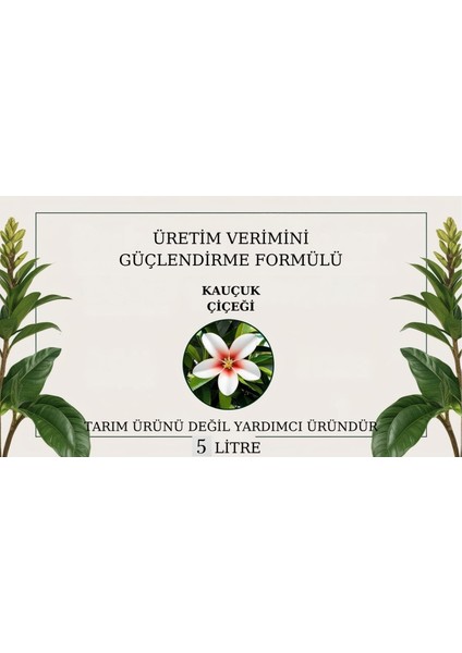 Doğal Üretim Verimini Güçlendirme Formülü(Kauçuk Çiçeği)