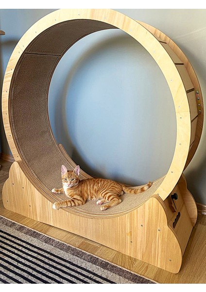 Kedi ve Küçük Irk Köpek Egzersiz Çarkı, Kedi Koşu Tekeri, Kedi Koşu Bandı, Çap 100CM (Demonte) modelleri