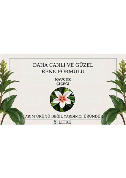 Doğal Daha Canlı ve Güzel Renk Formülü(Kauçuk Çiçeği)