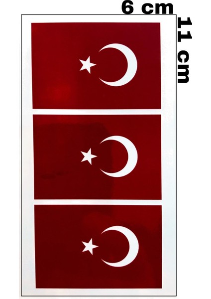 Bayrak Kol Bilek Geçici Dövme