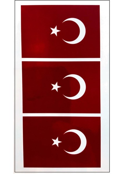 Bayrak Kol Bilek Geçici Dövme