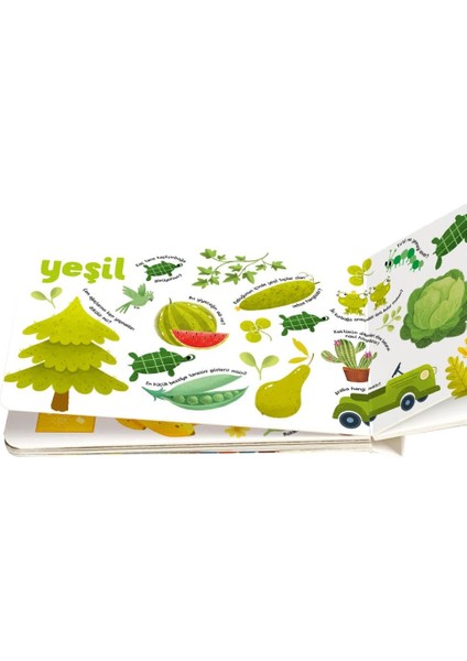 12-36 Ay İlk Etkinlik Kitabım Seti (Sayılar - Renkler)