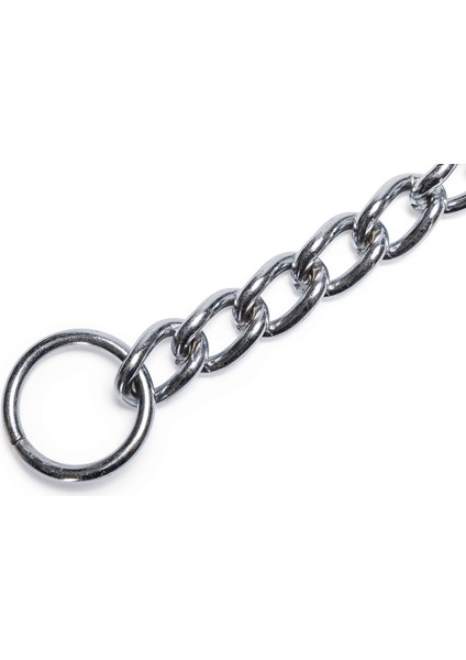 Beeztees Köpek Boyun Tasması, Zincir, 80X1X0,40CM modelleri