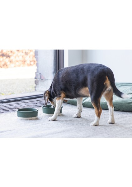 Beeztees Dbl Köpek Mama Su Kabı, Seramik, Mat Yeşil, 16CM, 350ML modelleri