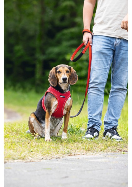 Beeztees Köpek Göğüs Tasması, Neopren, Kırmızı, M, 41-46CM indirimleri