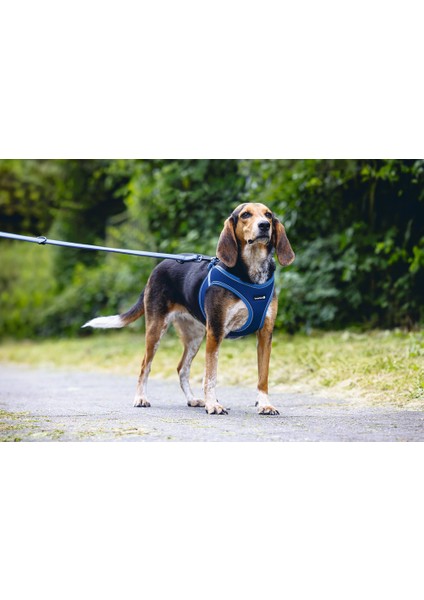 Beeztees Köpek Göğüs Tasması, Neopren, Mavi, M, 41-46CM