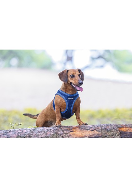 Beeztees Köpek Göğüs Tasması, Neopren, Mavi, S, 38-44CM modelleri