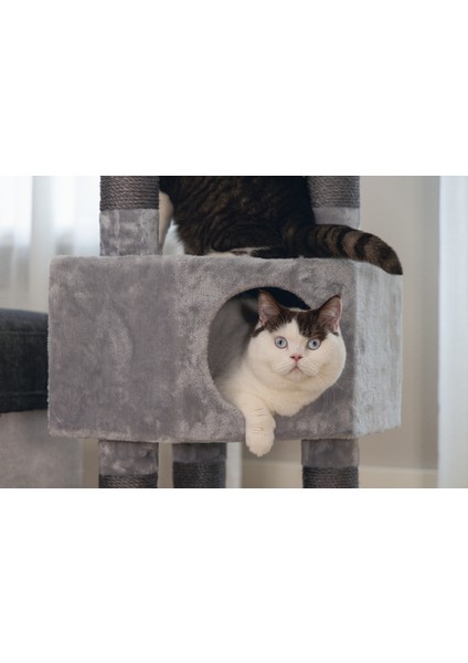 Beeztees Kedi Köşe Tırmalama ve Oyun Evi, Gri, 40X40X135CM indirimleri