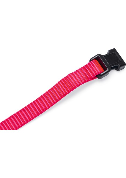 Beeztees Yavru Köpek Boyun Tasması, Çeşitli Renklerde, 22-35CM, 10MM modelleri