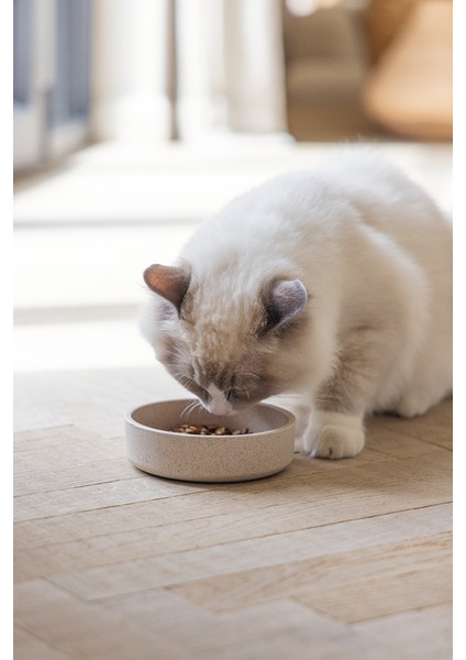 Beeztees Dbl Kedi Mama Su Kabı, Bambu, Bej 12CM, 250ML