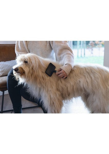 Beeztees Köpek Tarağı, Kolay Tarama, Sm, Siyah Gri, 19CM, 19X12X4CM indirimleri