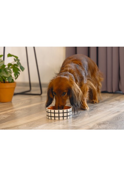 Beeztees Köpek Mama Su Kabı, Seramik, Kiremit Beyaz, 13,5cm, 500ML fiyatları