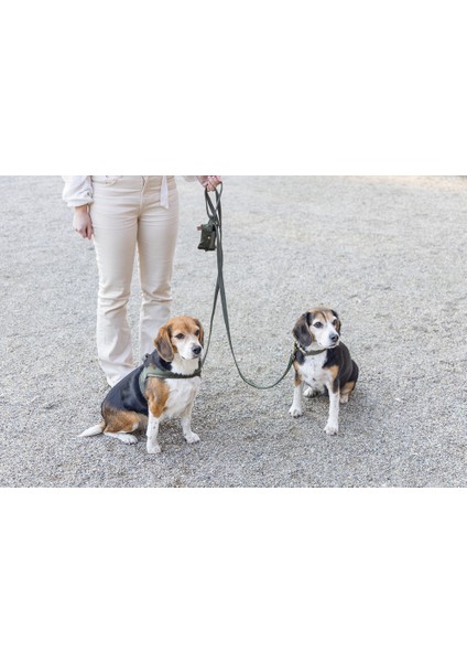 Beeztees Dbl Köpek Gezdirme Kayışı, Velura, Yeşil, 120CM, 20MM modelleri