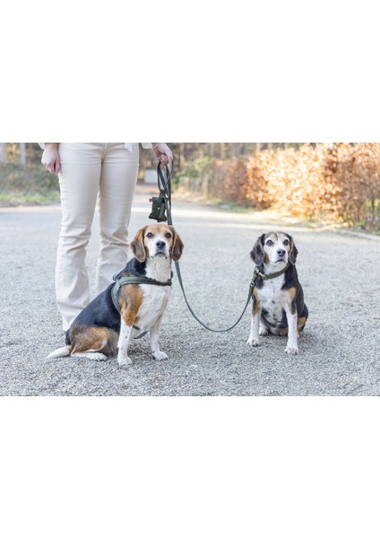 Beeztees Dbl Köpek Gezdirme Kayışı, Velura, Yeşil, 120CM, 20MM fırsatları