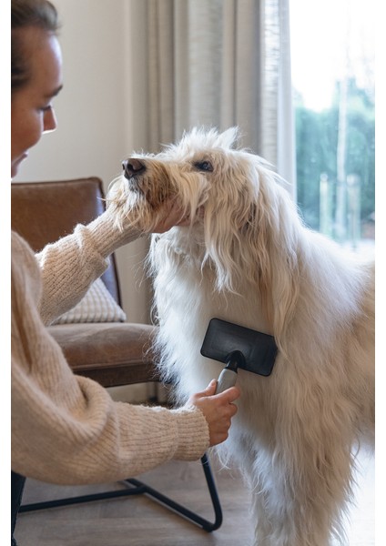 Beeztees Köpek Tarağı, Kolay Tarama, Sm, Siyah Gri, 18CM, 18X10X2CM fiyatları