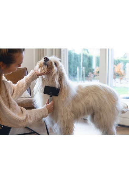 Beeztees Köpek Tarağı, Kolay Tarama, Sm, Siyah Gri, 18CM, 18X10X2CM fırsatları