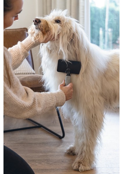 Beeztees Köpek Tarağı, Kolay Tarama, Sm, Siyah Gri, 18CM, 18X10X2CM indirimleri