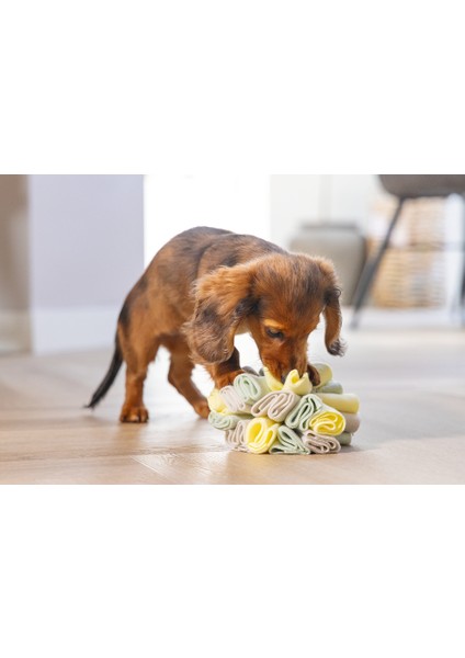 Beeztees Köpek Ödül Saklama Oyuncağı, Top, Polar, Gri/yeşil, 13CM modelleri