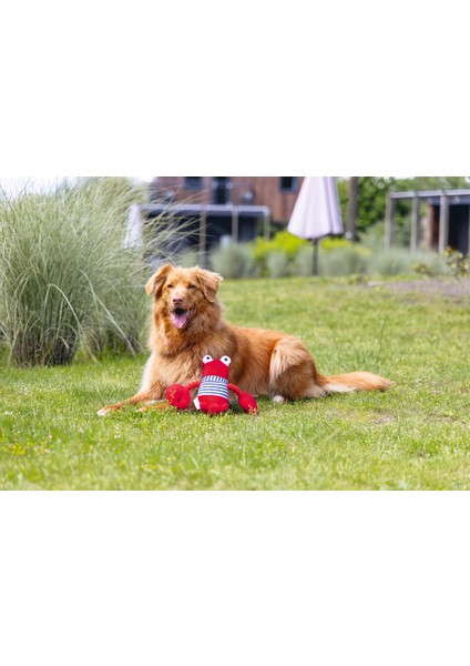 Beeztees Köpek Oyuncağı, Istakoz, Peluş, Kırmızı, 24X38X13CM fiyatları