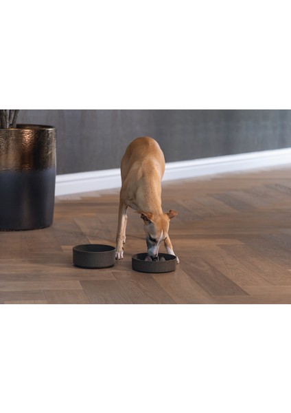 Dbl Köpek Yavaş Besleme Mama Kabı, Bambu, Antrasit, 17CM, 800ML modelleri