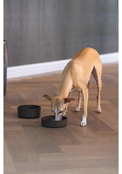 Dbl Köpek Yavaş Besleme Mama Kabı, Bambu, Antrasit, 17CM, 800ML fırsatları