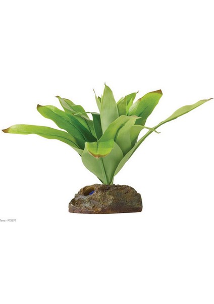 Exo Terra Teraryum Için Plastik Bitki Ynsmr