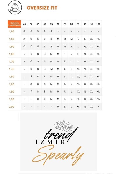 Kadın Oversize Tişört – Yazlık Basic – Van Gogh Baskılı – %100 Pamuk Penye – Beyaz T-Shirt fiyatları